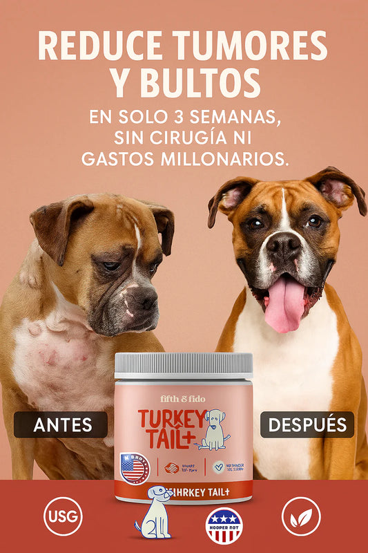 Turkey Tail Plus – El suplemento natural que reduce tumores y bultos en tu peludito en solo 3 semanas. (100porciones)