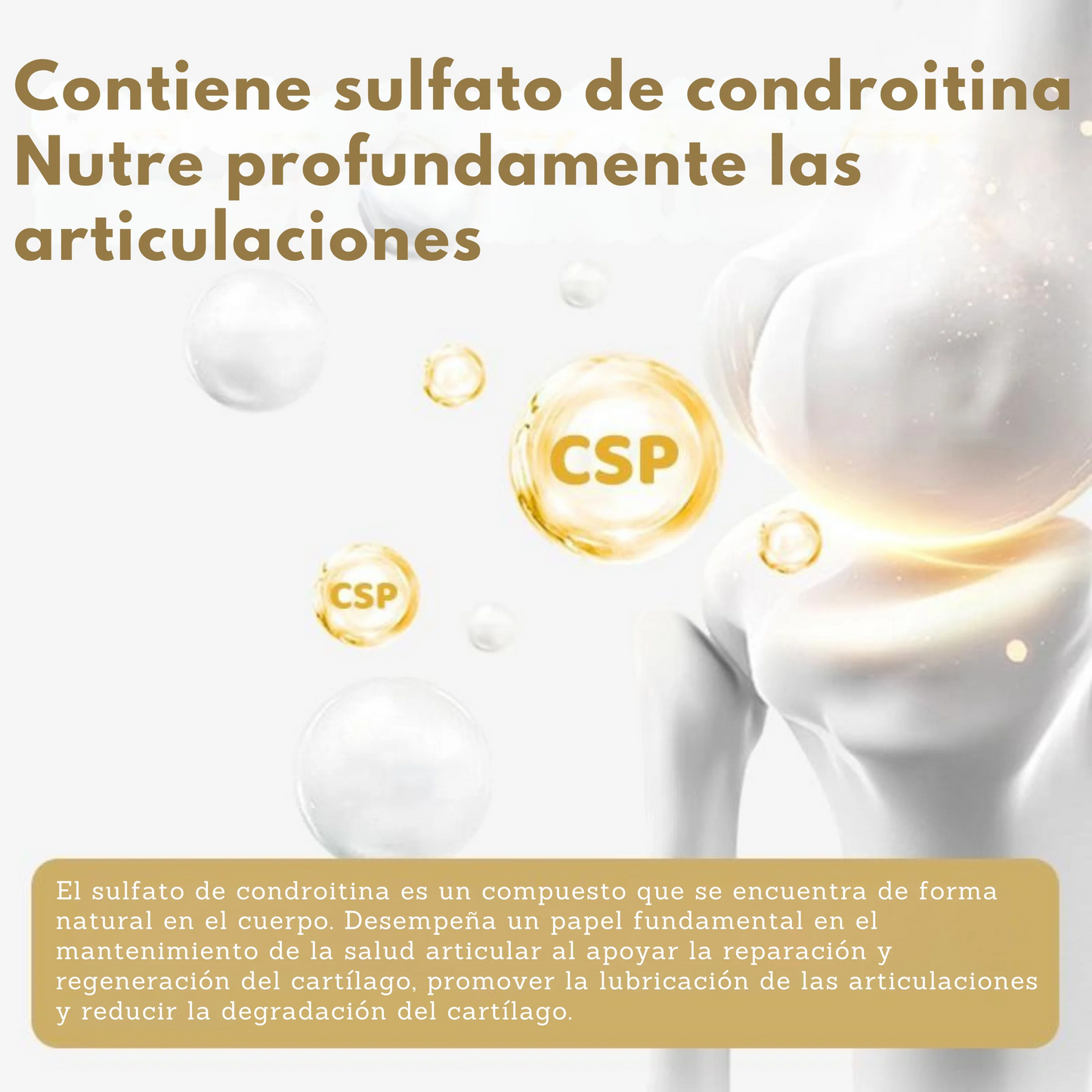 panashop™ Restauración Articular